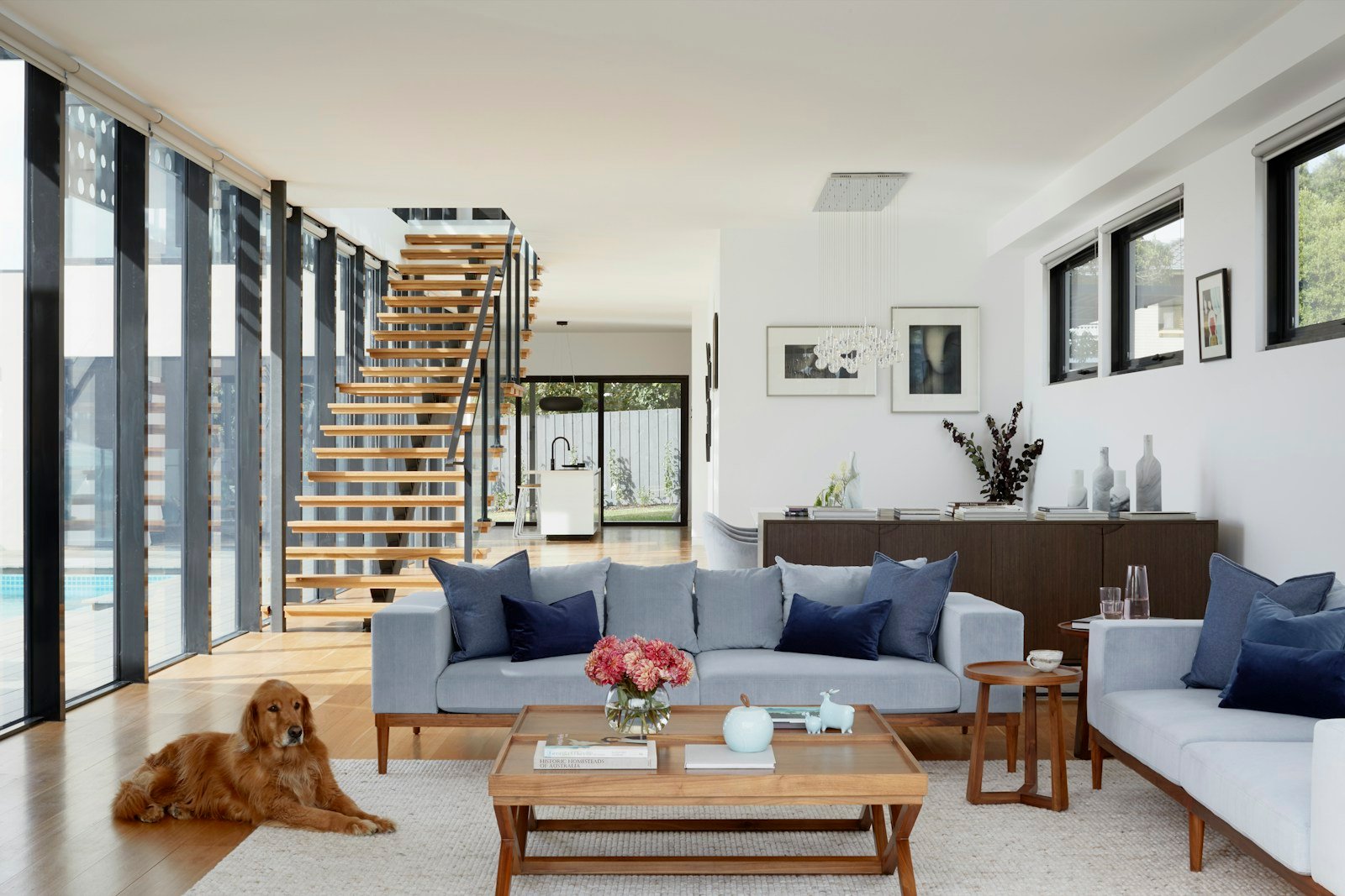 Open interior architecture, oak stair treads and a light-filled living area